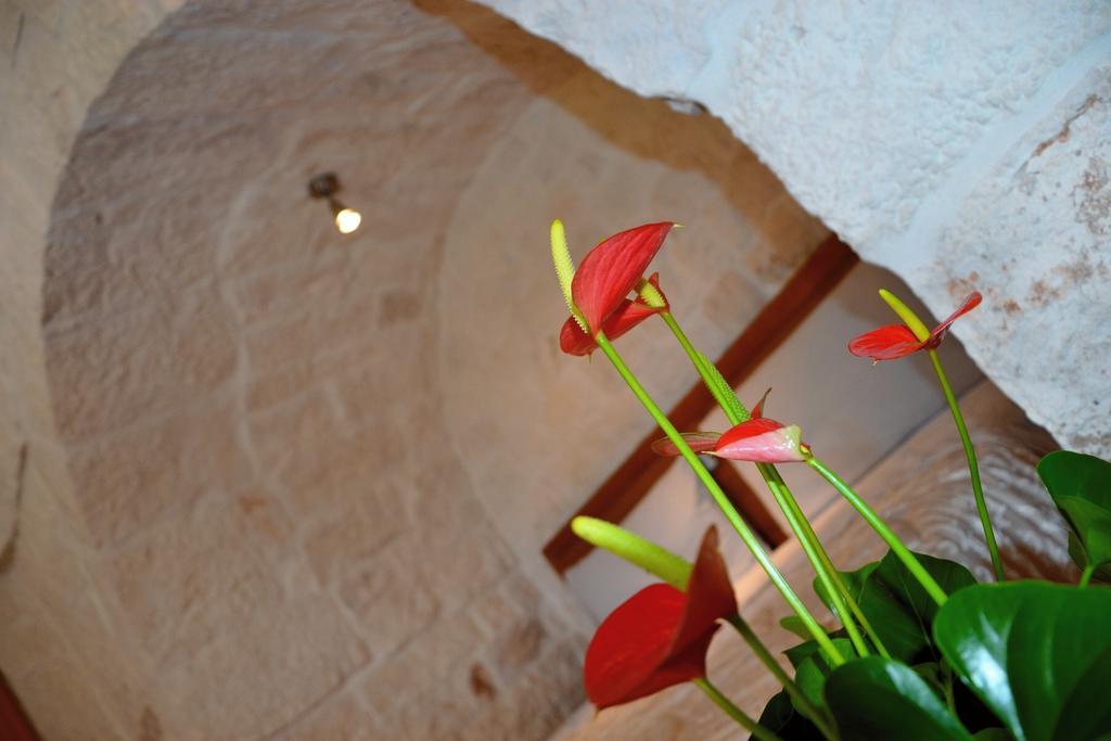 Willa Il Trullo Del Mirto Selva Di Fasano Zewnętrze zdjęcie