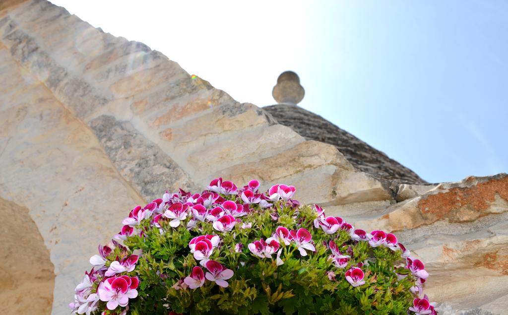 Willa Il Trullo Del Mirto Selva Di Fasano Zewnętrze zdjęcie